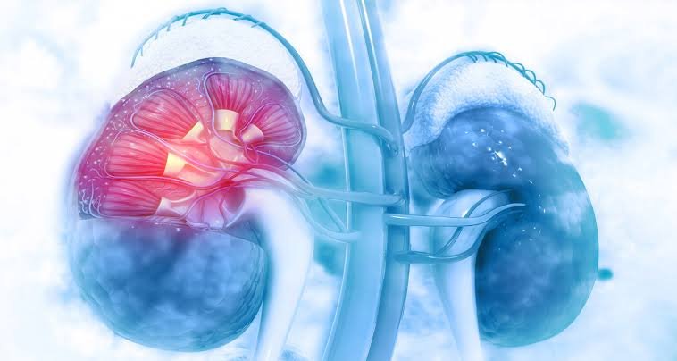 Surgical oncology team performing endoscopic bladder tumour resection at a JCI-accredited hospital in Istanbul